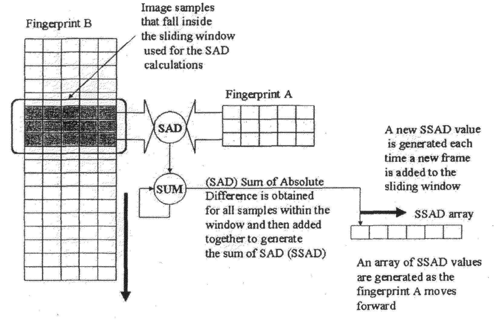 System for Identifying Motion Video Content