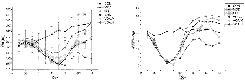 Fructus Amomi volatile oil soft capsule for alleviating chemotherapy induced intestinal mucosa damage