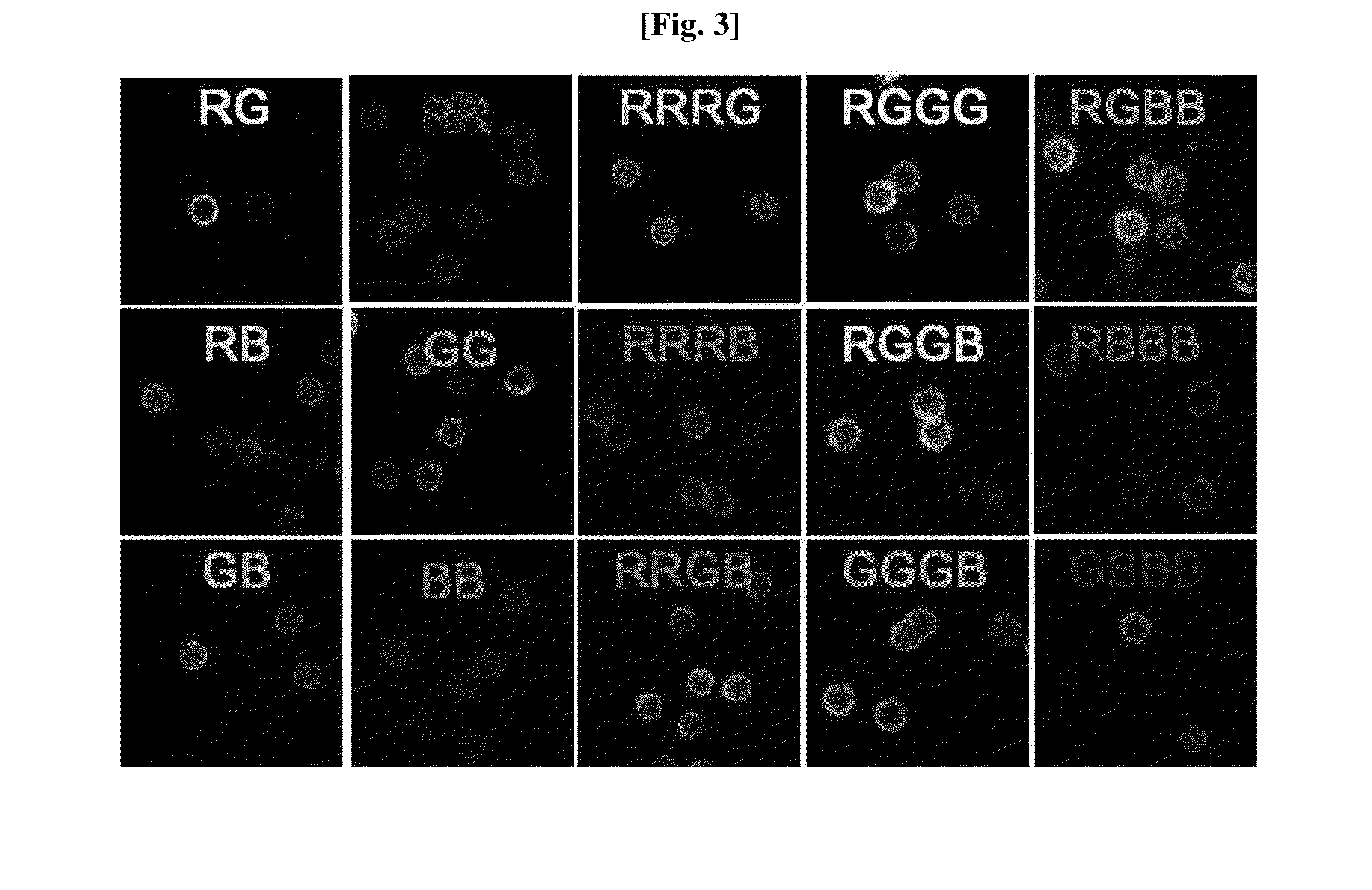 Fusion NANO liposome-fluorescence labeled nucleic acid for in vivo application, uses thereof and preparation method thereof