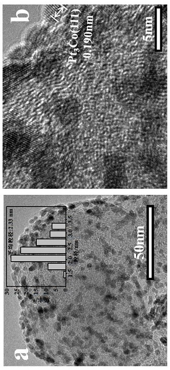 Platinum-cobalt alloy catalyst for fuel cell, and preparation method thereof