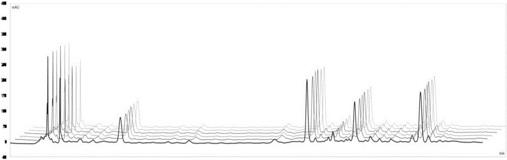 Detection method of Yinqiao powder