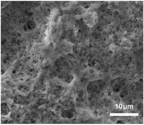 Ion doping and protein dipping double modified porous calcium phosphate ceramic and preparation method thereof