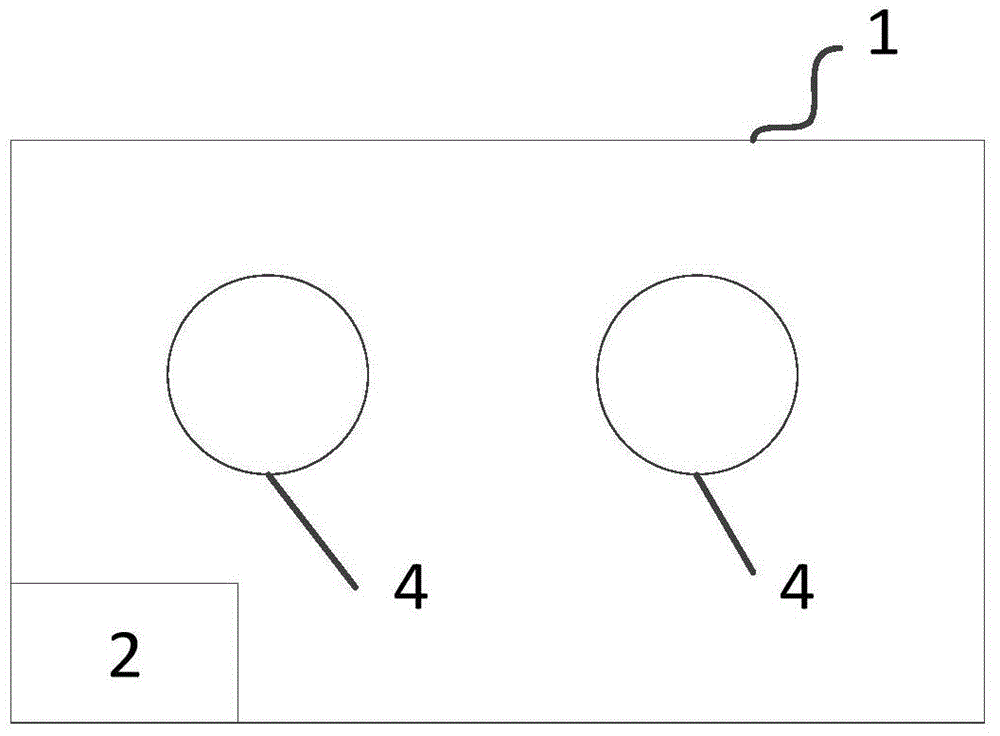 Image information acquisition device, image acquisition method and use of image information acquisition device