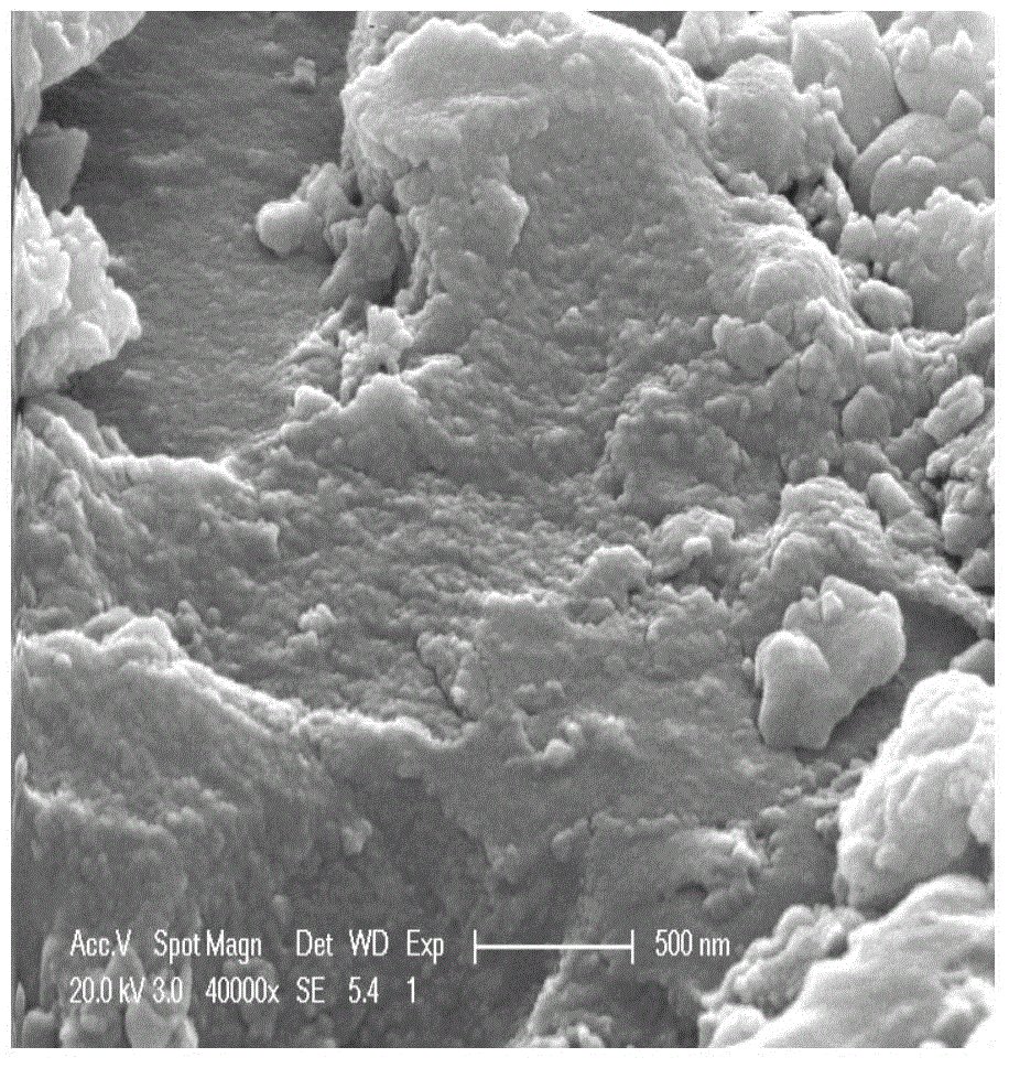 Iron carbon material and preparation method and application thereof