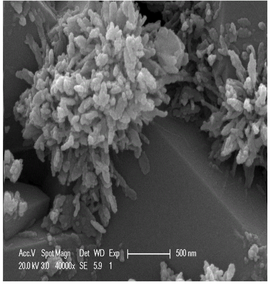 Iron carbon material and preparation method and application thereof