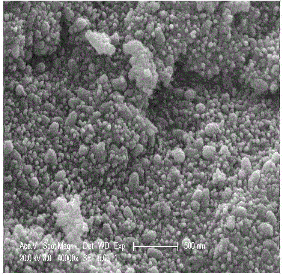 Iron carbon material and preparation method and application thereof