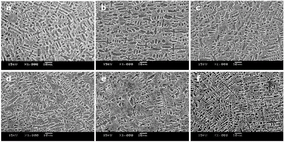 Nickel-coated graphite self-lubricating composite material and application thereof