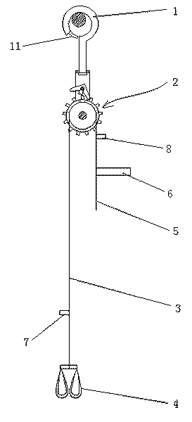 Human body handstand assisting device