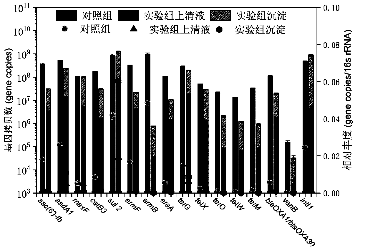 Advanced treatment method for antibiotic resistance genes in sewage