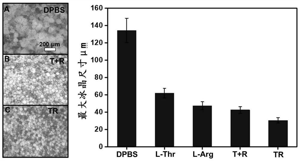 Peptide compound and cryopreservation solution containing same