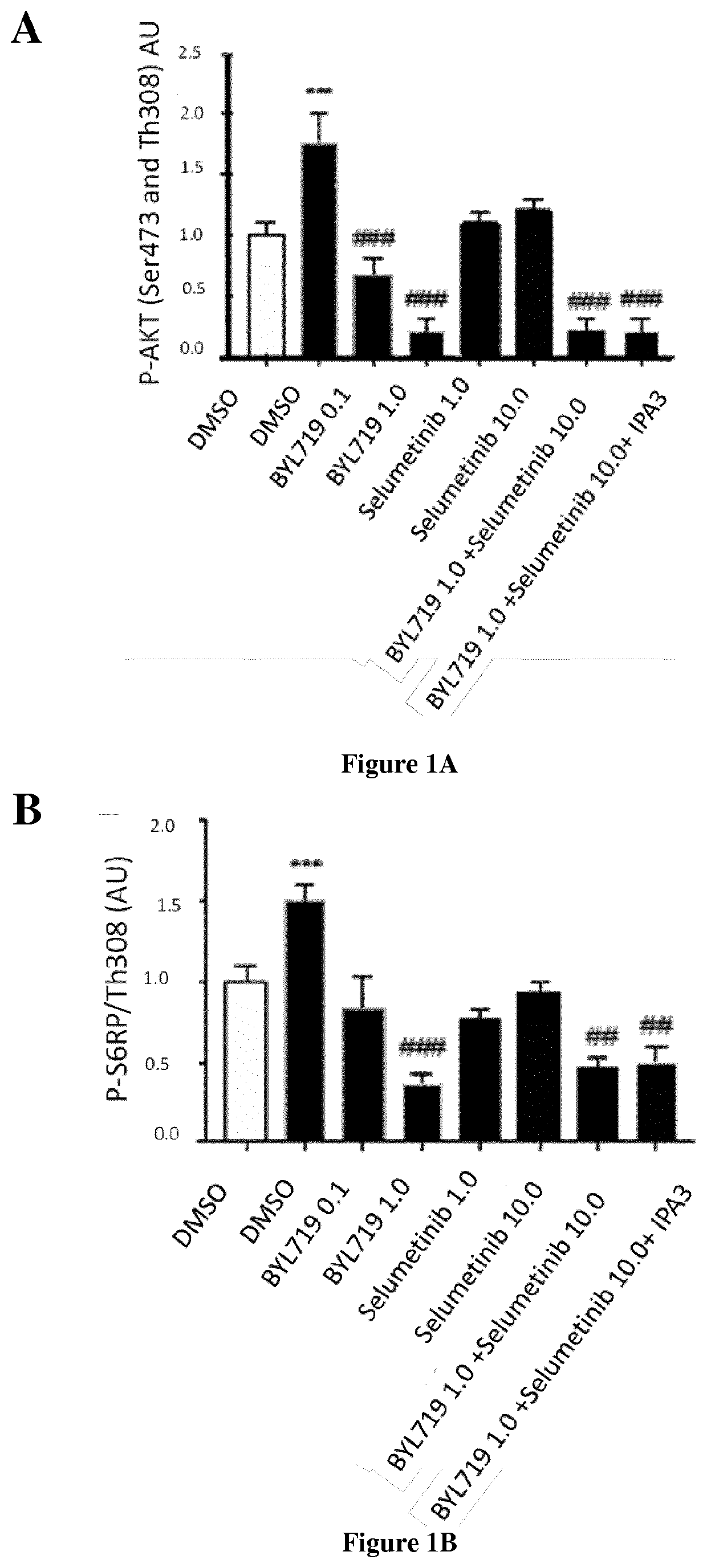 Methods for the treatment of neurofibromatosis