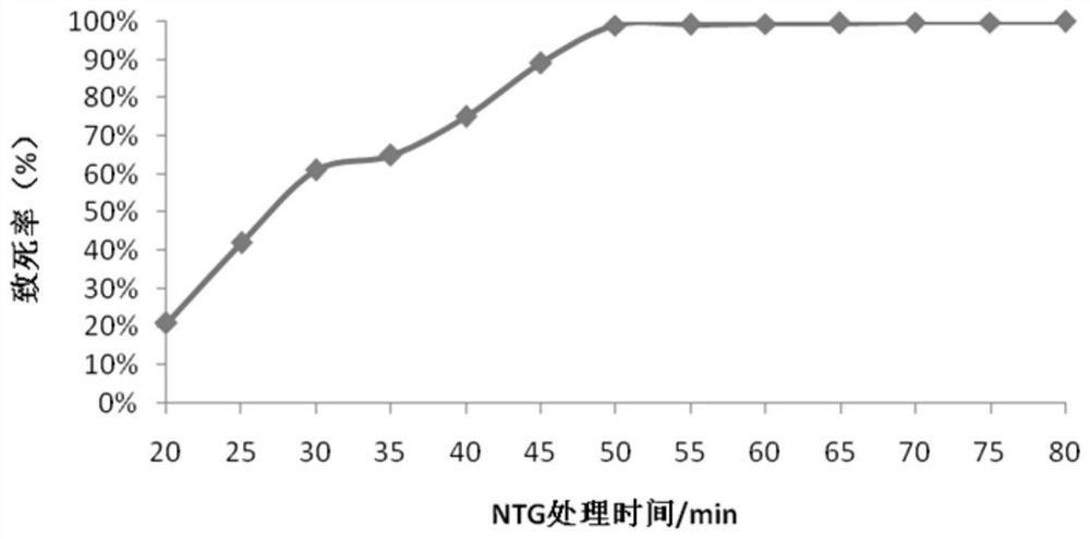 A mutant strain with high γ-aminobutyric acid and its biological preparation