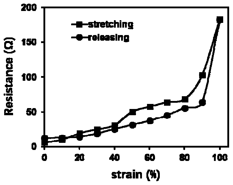 Stretchable transient wire and preparation method thereof