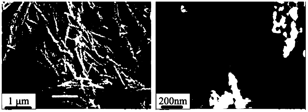 A nanoporous lithium titanate nitride nanowire/nanomembrane integrated material and its preparation method and application