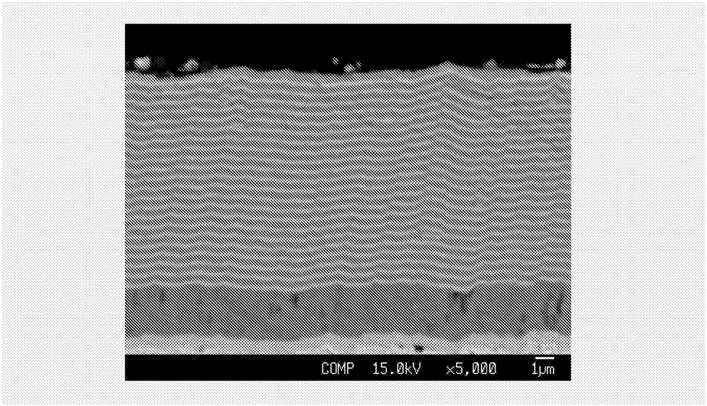 Piston ring and method for manufacturing same