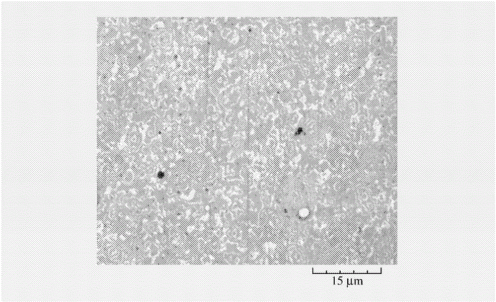 Piston ring and method for manufacturing same