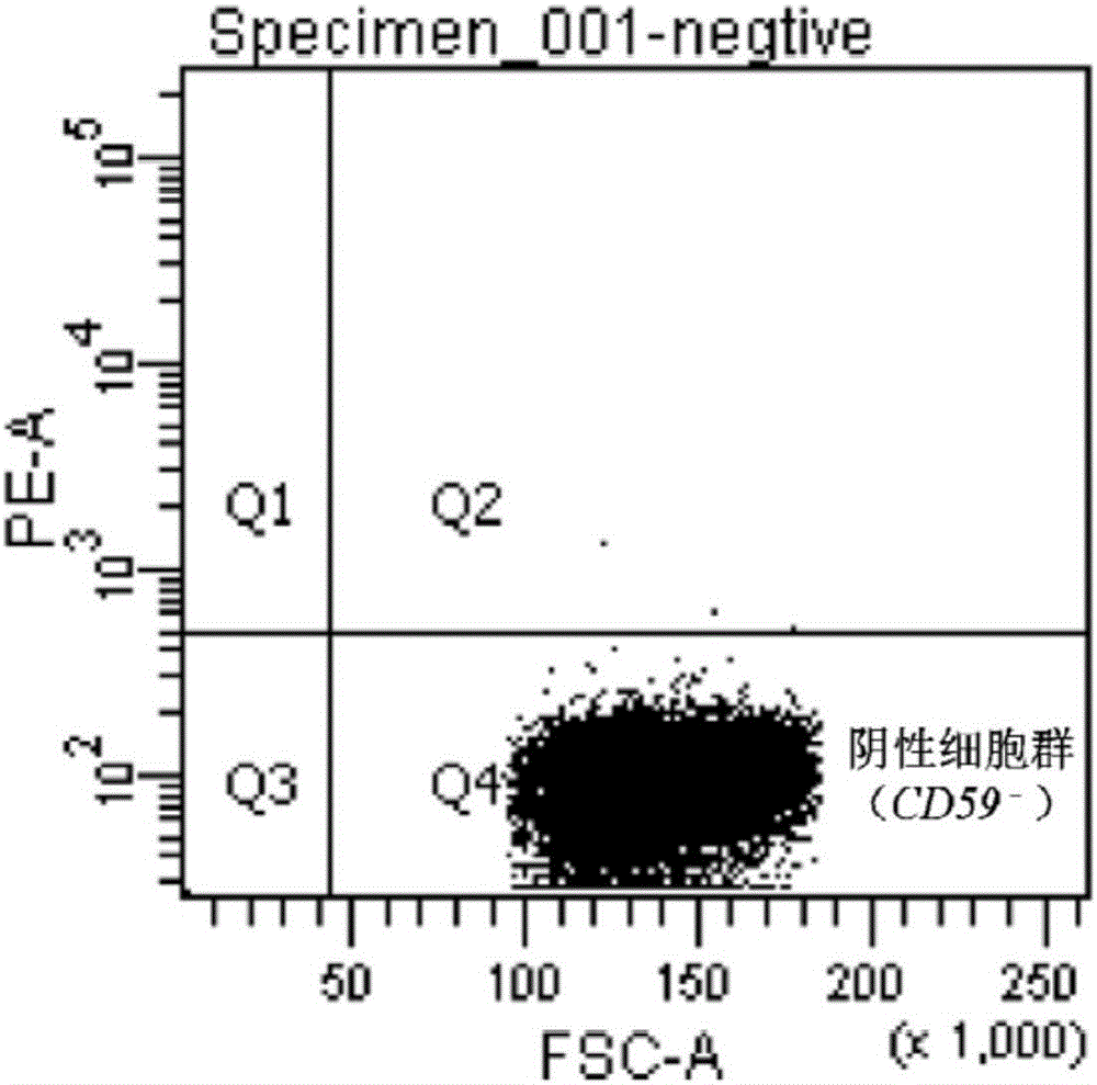 Method for performing high-throughput screening on gene deletion mutation