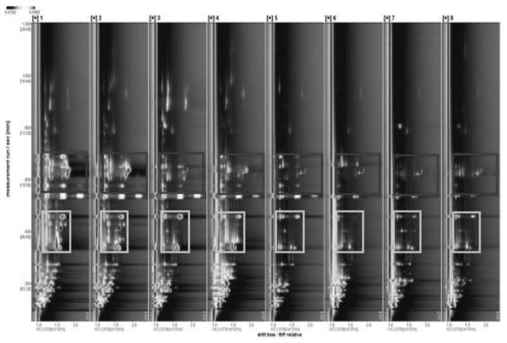 Method for identifying walnut species by analyzing leaves based on GC-IMS