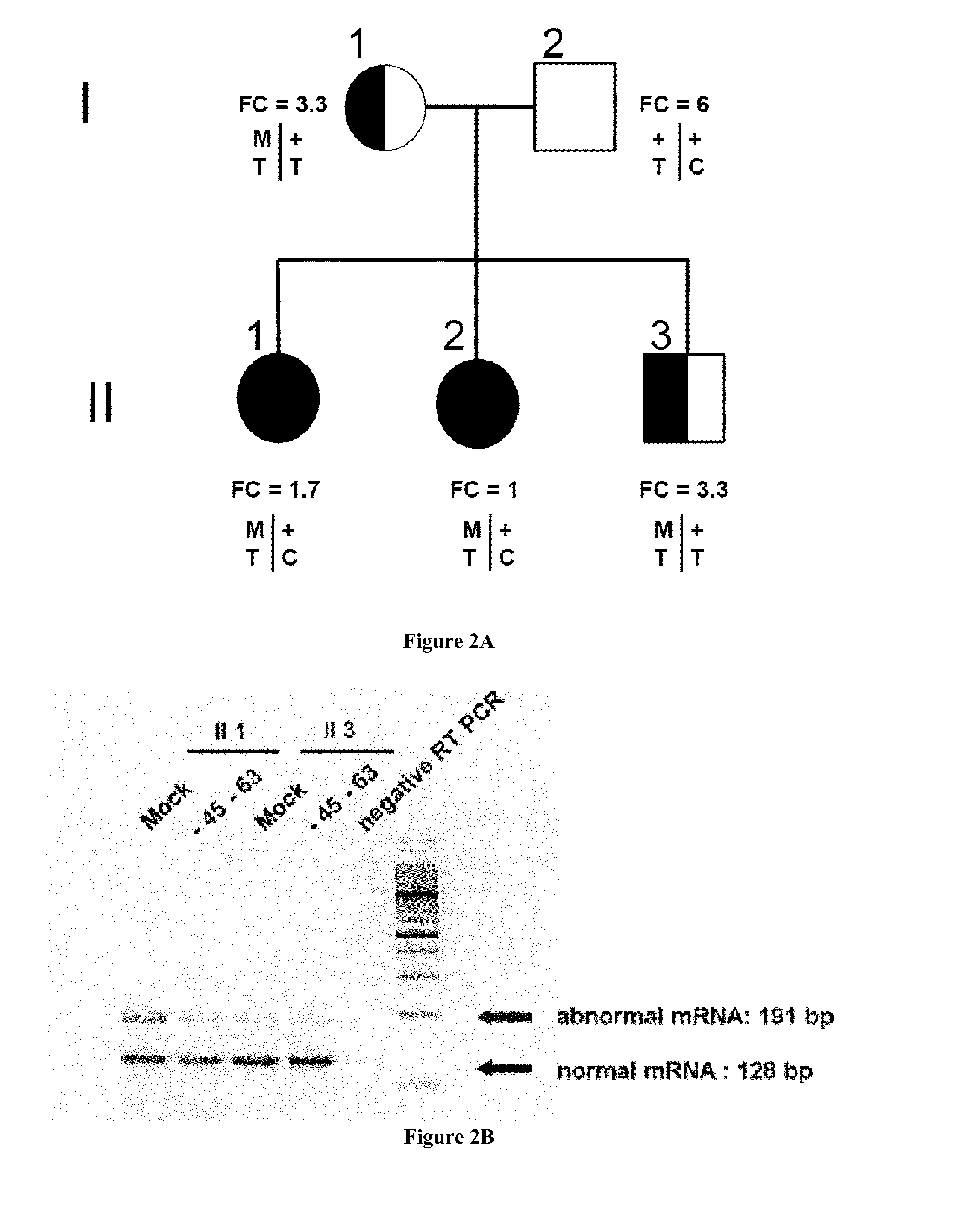 Methods and pharmaceutical compositions for the treatment of erythropoietic protoporphyria