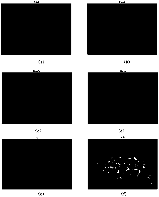 Reliable method for verifying fragmentation distribution of blasting lumps