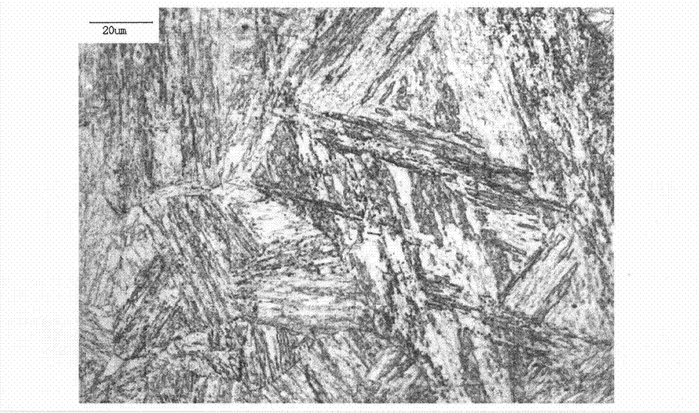 Martensitic stainless steel and manufacturing method thereof