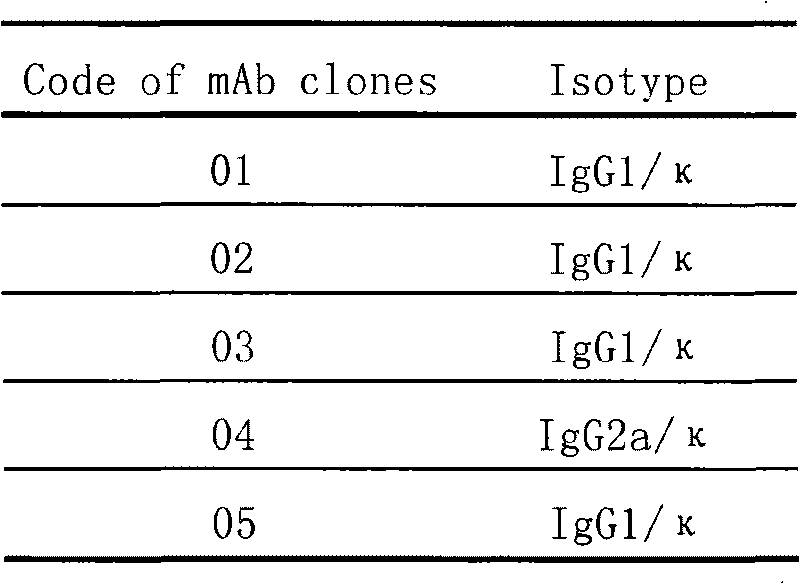 Mouse monoclonal antibody cell strain for resisting amoxicillin and ampicillin