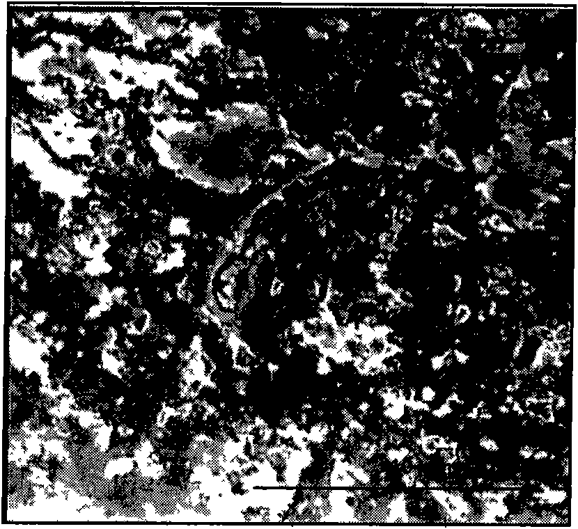 Titanium alloy electrochemical oxidation liquid