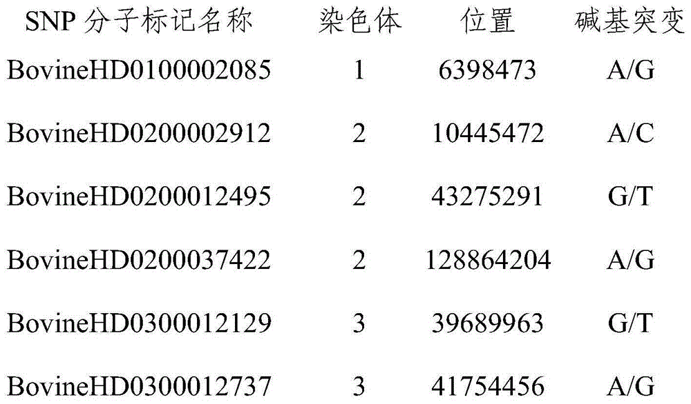 SNP (single nucleotide polymorphism) molecular marker combination for identifying genetic relationship of Chinese Simmental