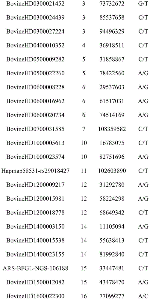 SNP (single nucleotide polymorphism) molecular marker combination for identifying genetic relationship of Chinese Simmental