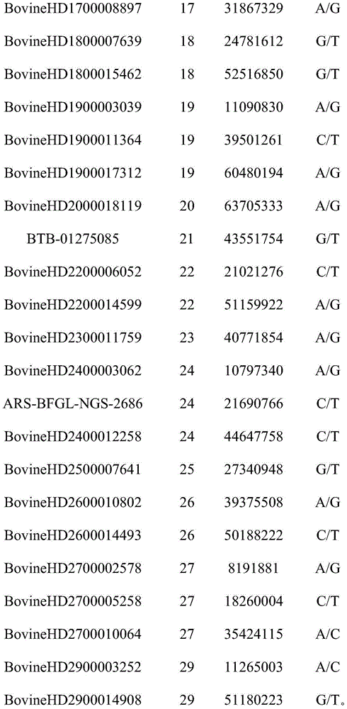 SNP (single nucleotide polymorphism) molecular marker combination for identifying genetic relationship of Chinese Simmental