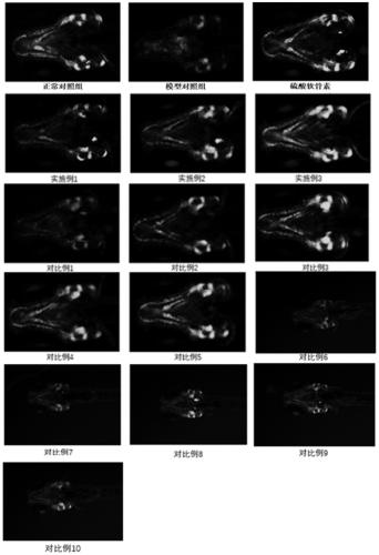 Composition for promoting regeneration of injured articular cartilage tissues