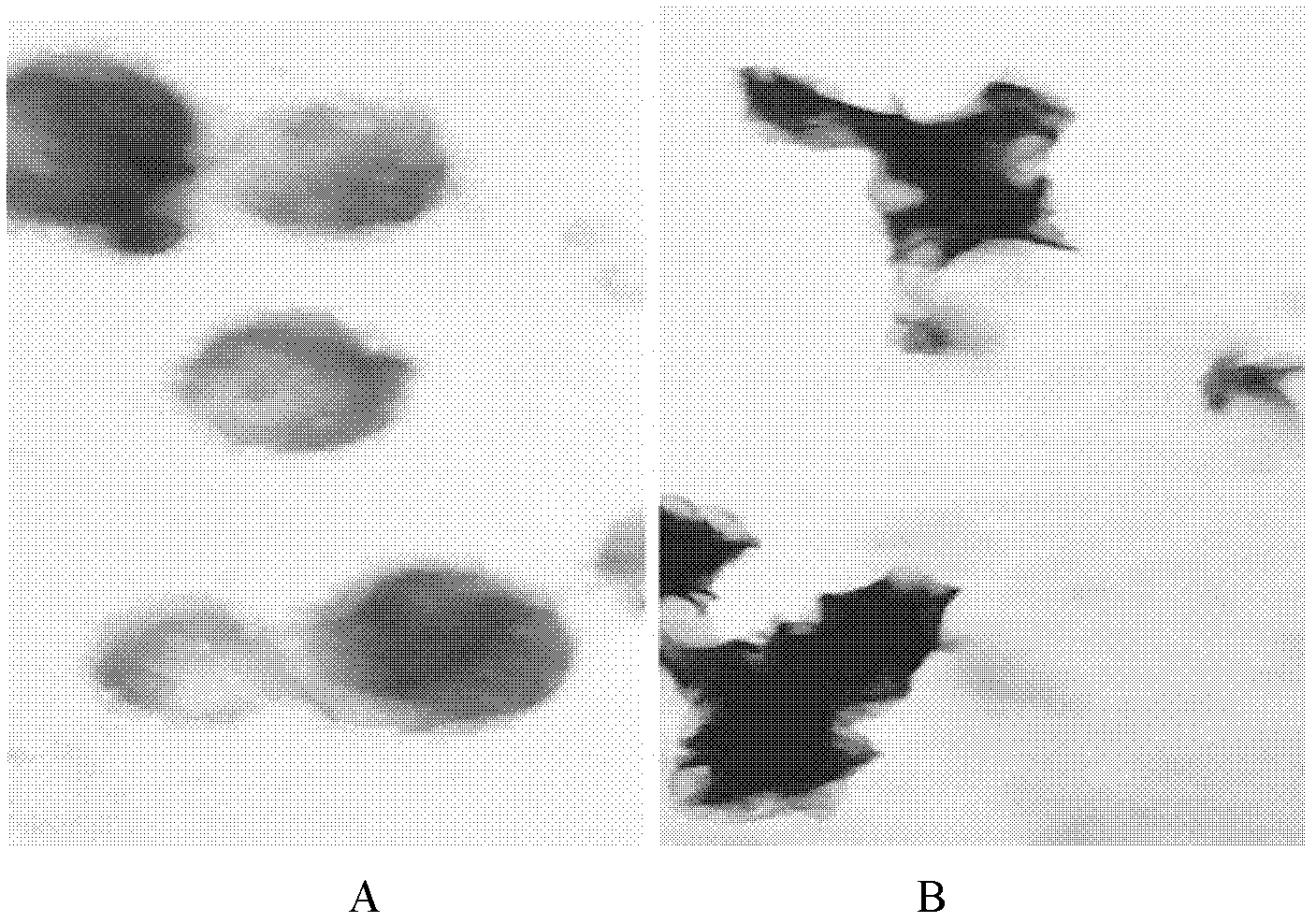 Docetaxel pH-sensitive liposome and preparation method thereof