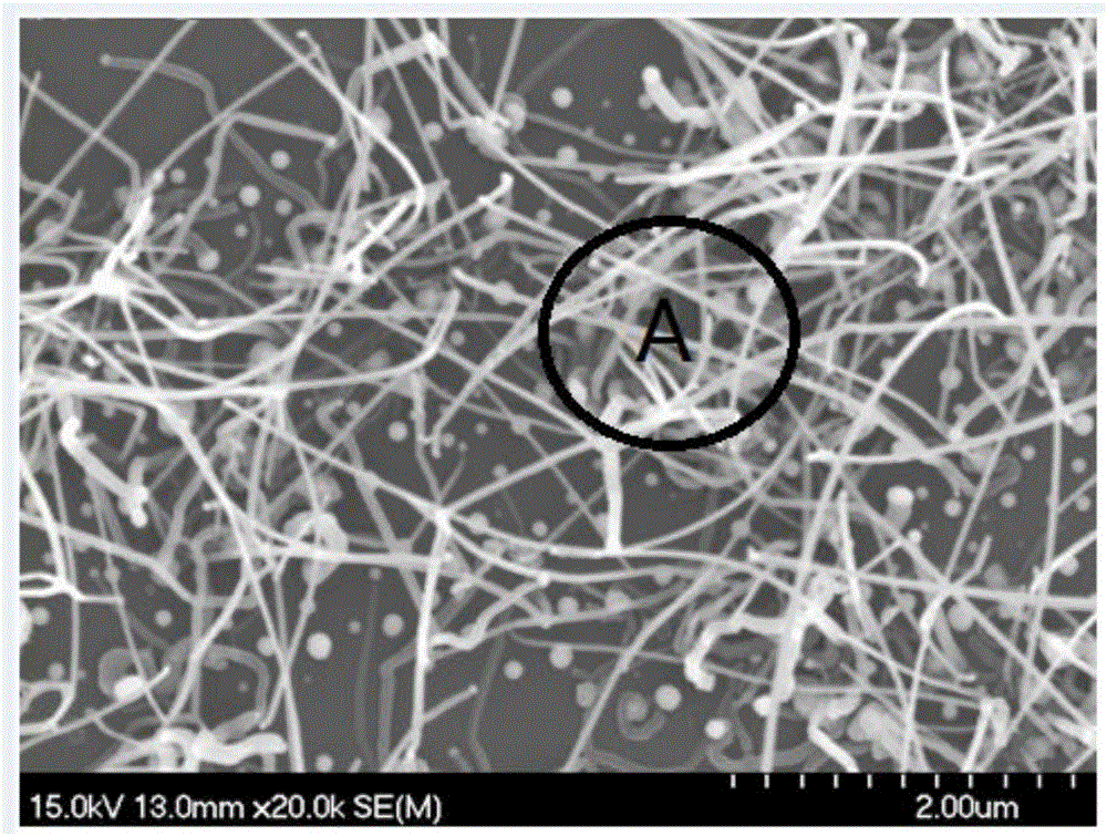 A preparation method of one-dimensional coxfe3-xo4 magnetic nanowires with composition gradient