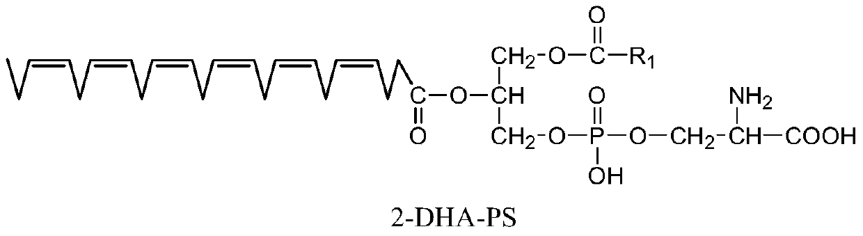 A kind of method that biological enzyme catalyzes preparation phospholipid type DHA