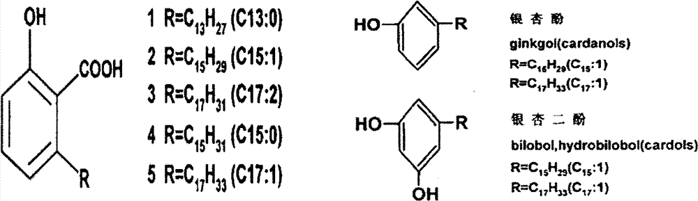 Use of ginkgolic acids in preparation of external preparation for treating cutaneous tumors