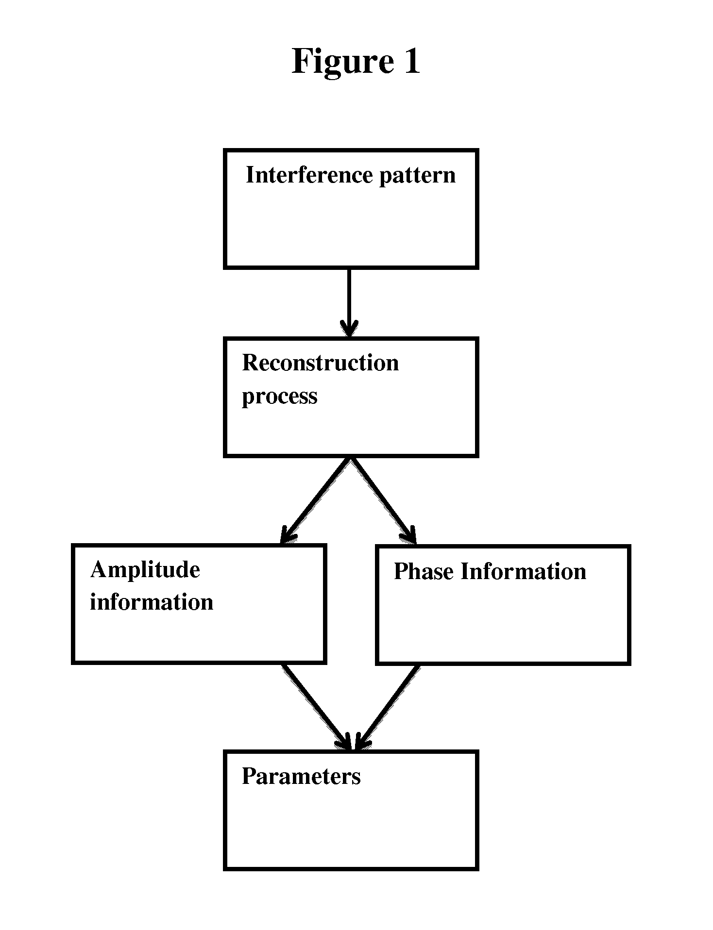 Determination of physical parameters associated with erythrocytes