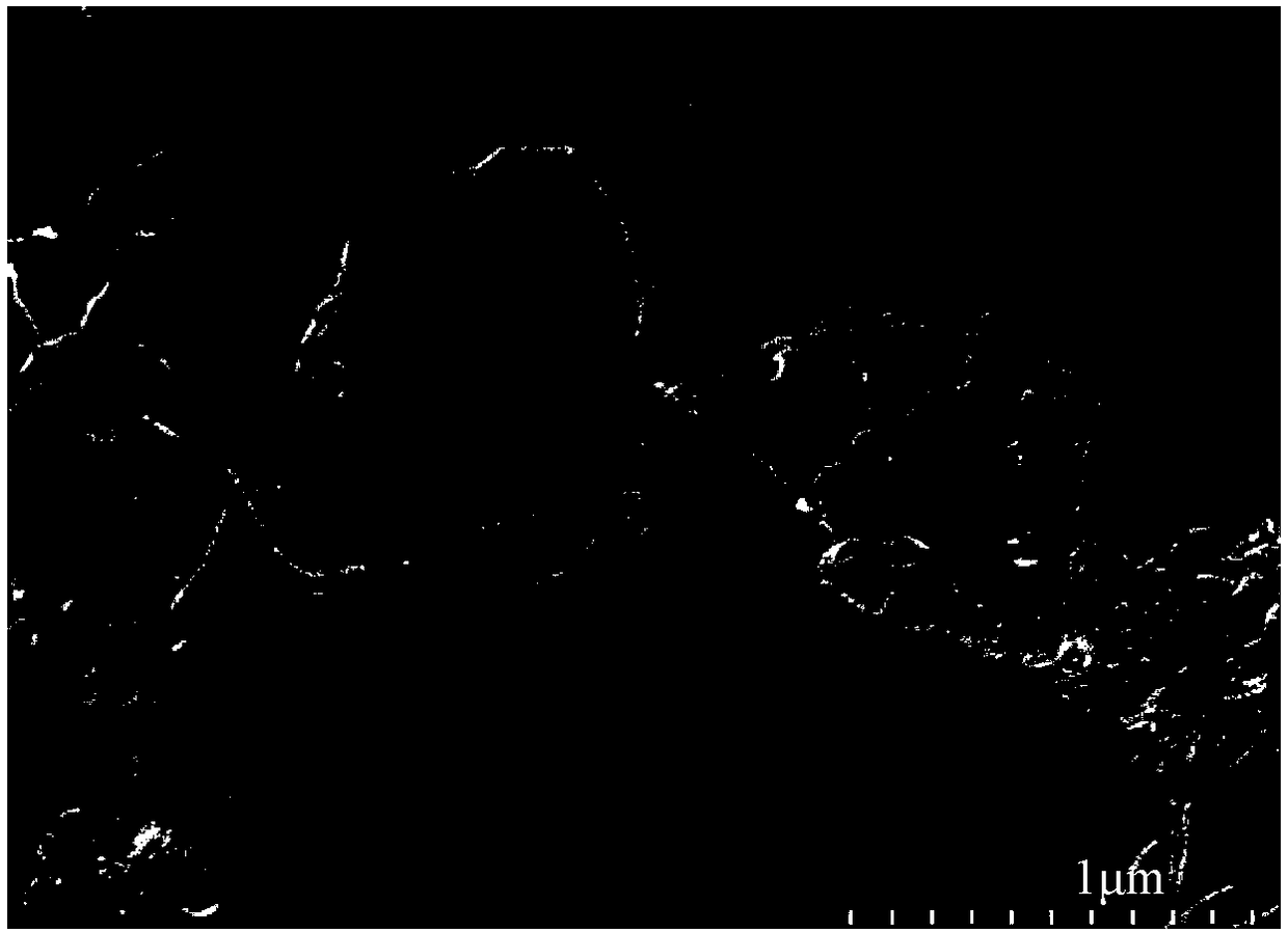 Non-destructive dispersion method of carbon nanotubes