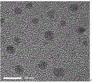 Synthesis method for near-infrared fluorescent probe copper nano-cluster and application of synthesis method