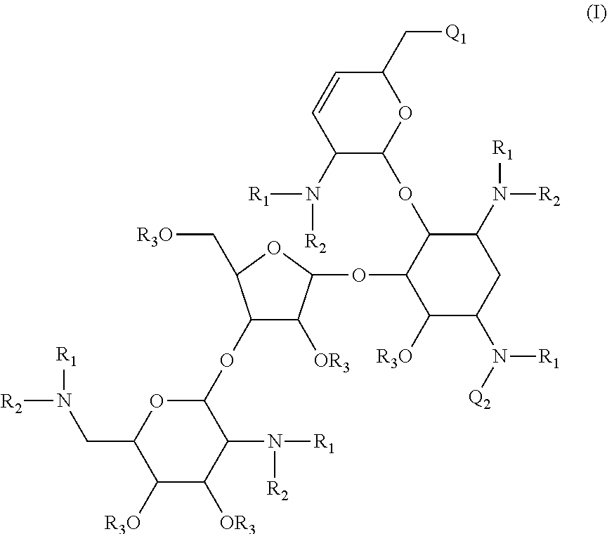 Antibacterial aminoglycoside analogs