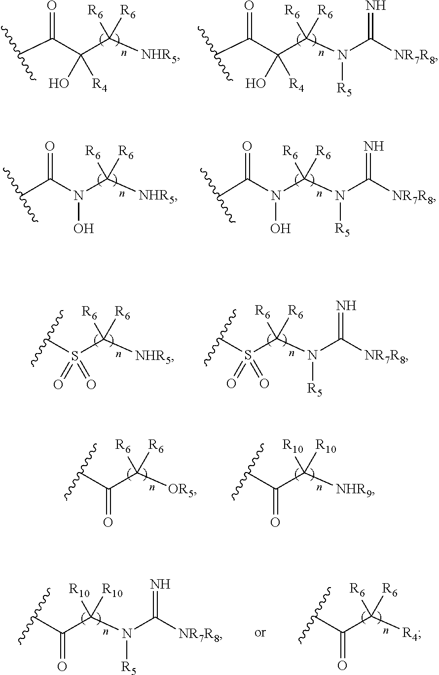 Antibacterial aminoglycoside analogs