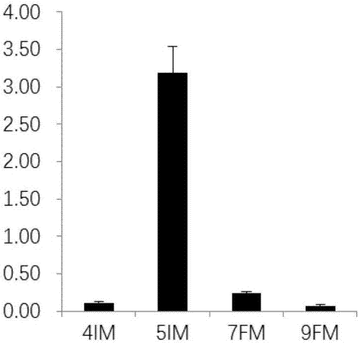 CpSOC1 gene of chimonanthus praecox, protein encoded by CpSOC1 gene and application