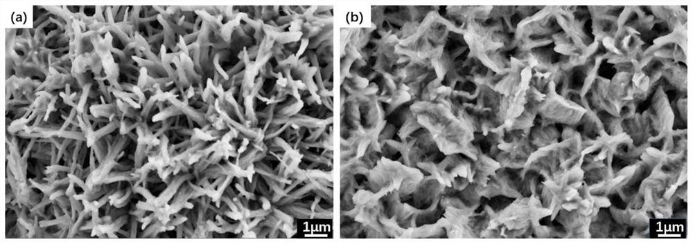 A kind of ni-co/cu superhydrophobic coating and preparation method thereof