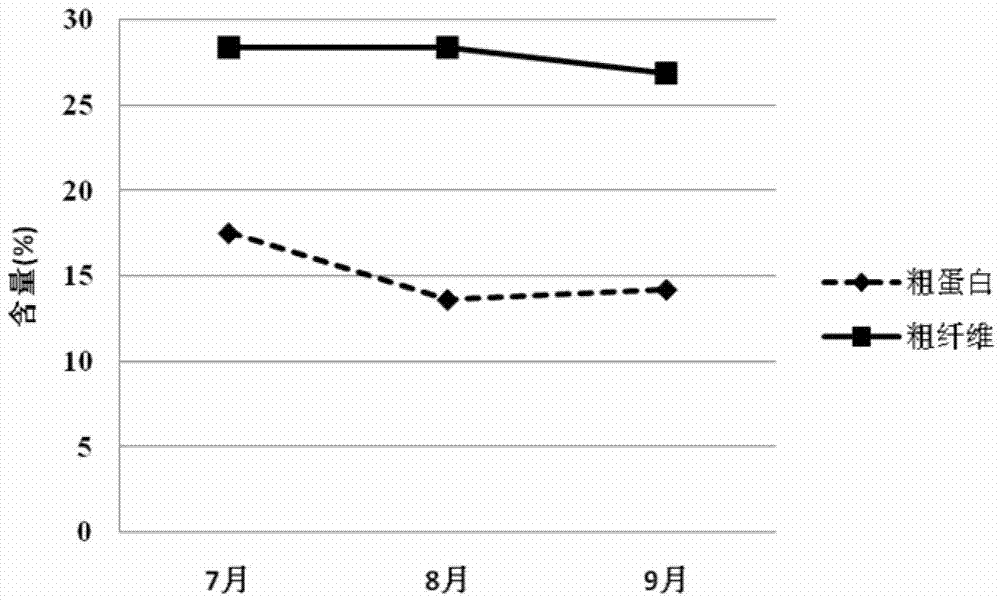 Method for planting elymus cylindricus under typical grassland rain-fed conditions