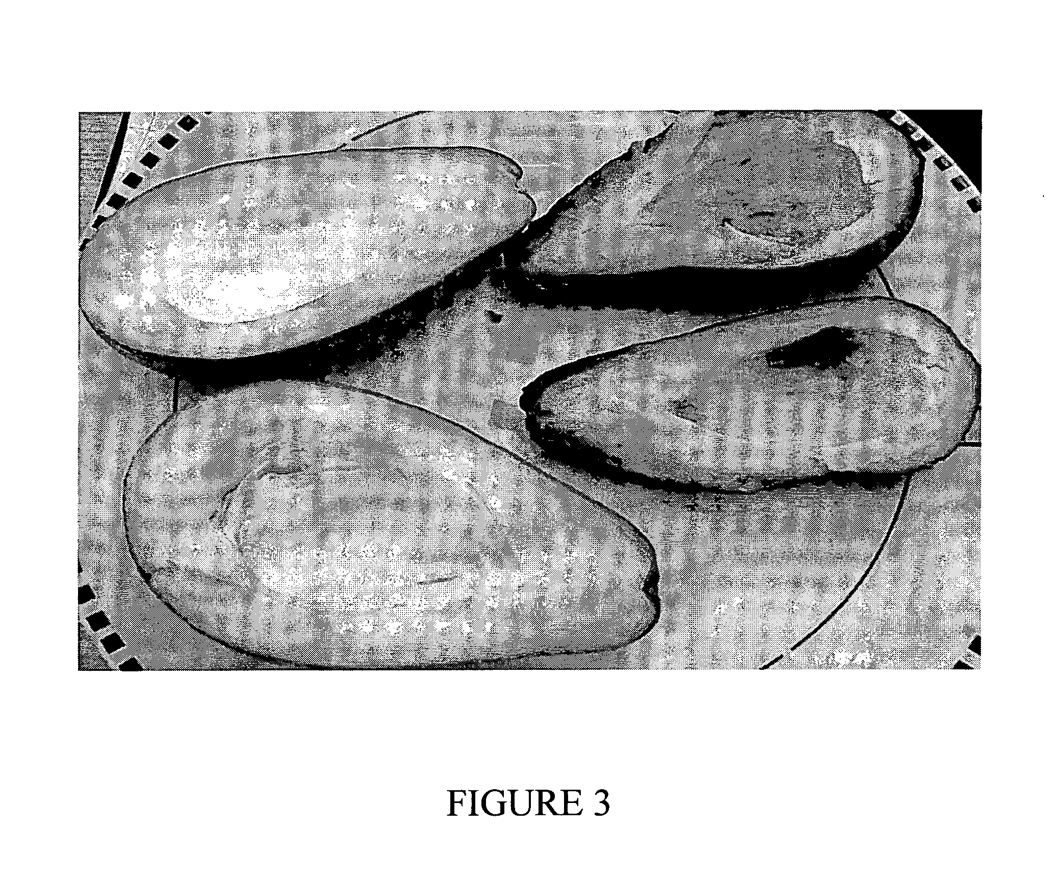 Emulsified wax compositions and uses thereof