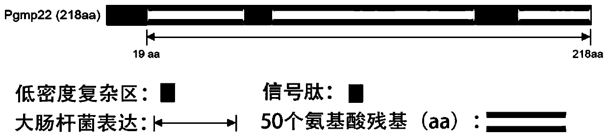 Application of rpgmp22, a gametocyte recombinant protein of Plasmodium berghei, in blocking malaria transmission