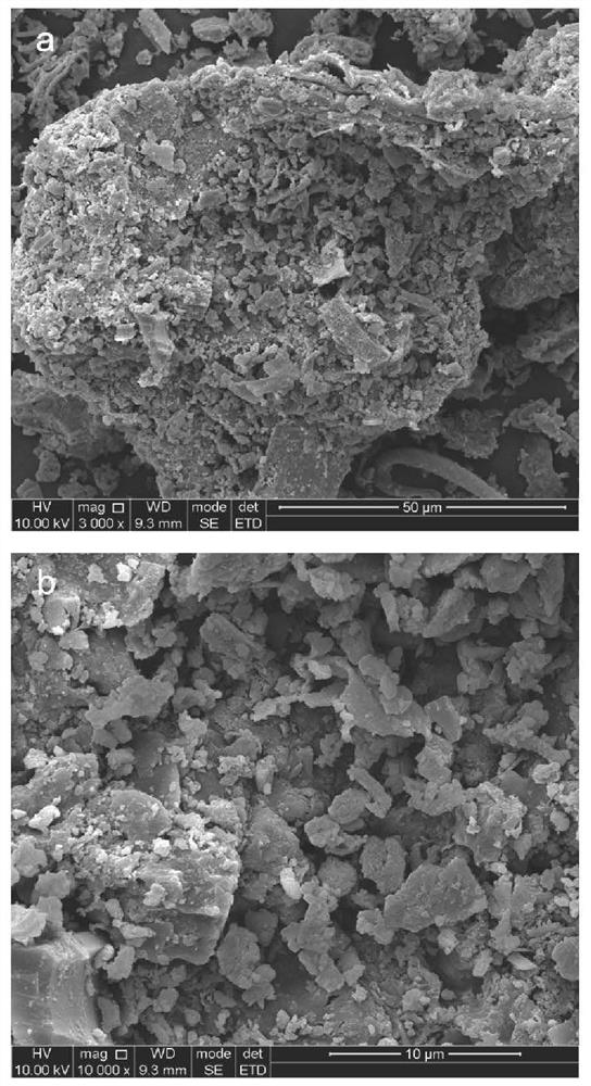 A pig manure biogas residue adsorbent and method for rapidly removing doxycycline in water