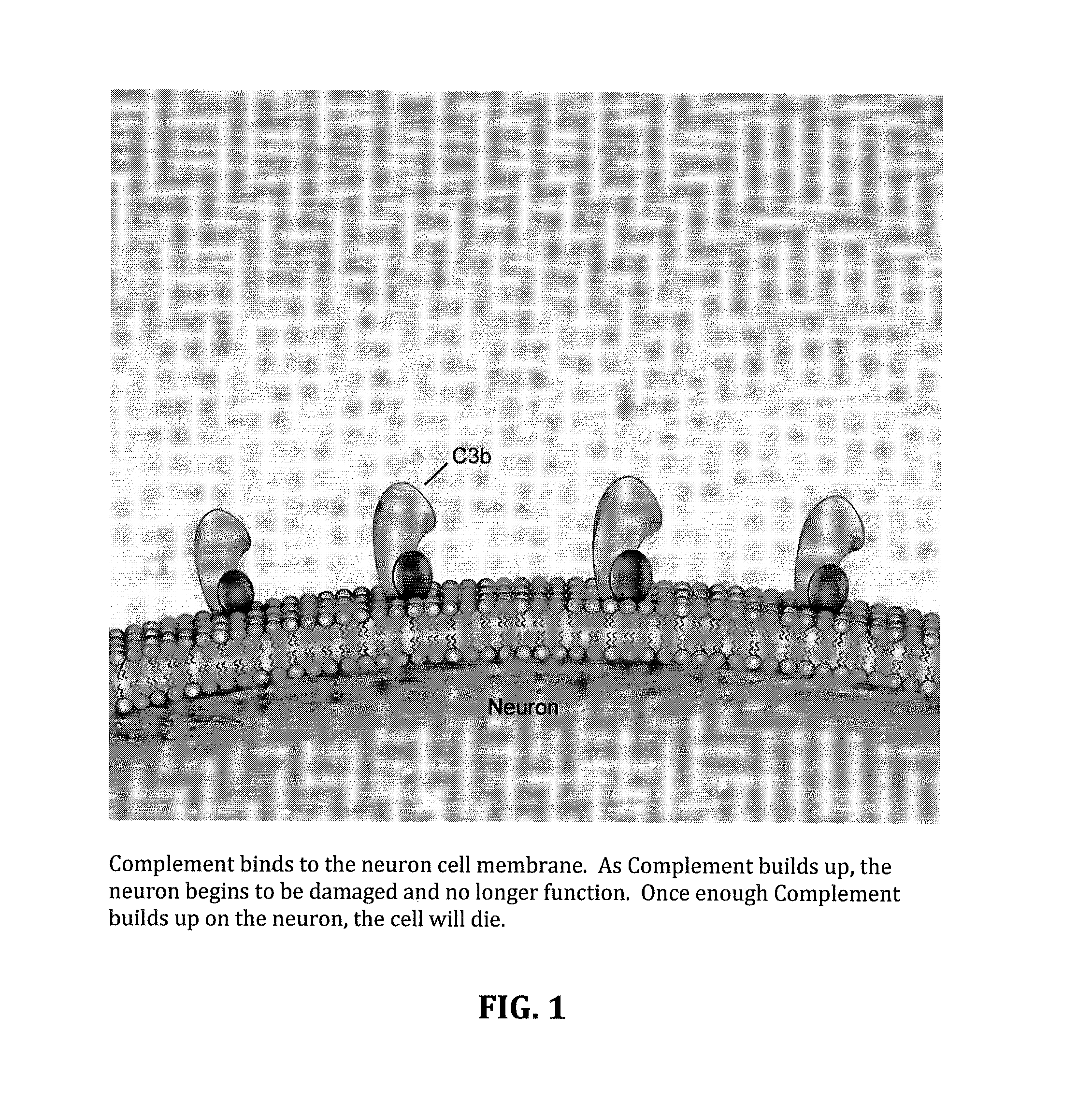 Method for treating als via the increased production of factor h