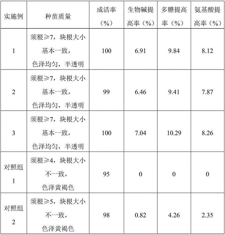 Dendrobium candidum tissue culture seedling culture medium for increasing alkaloid and preparing method thereof