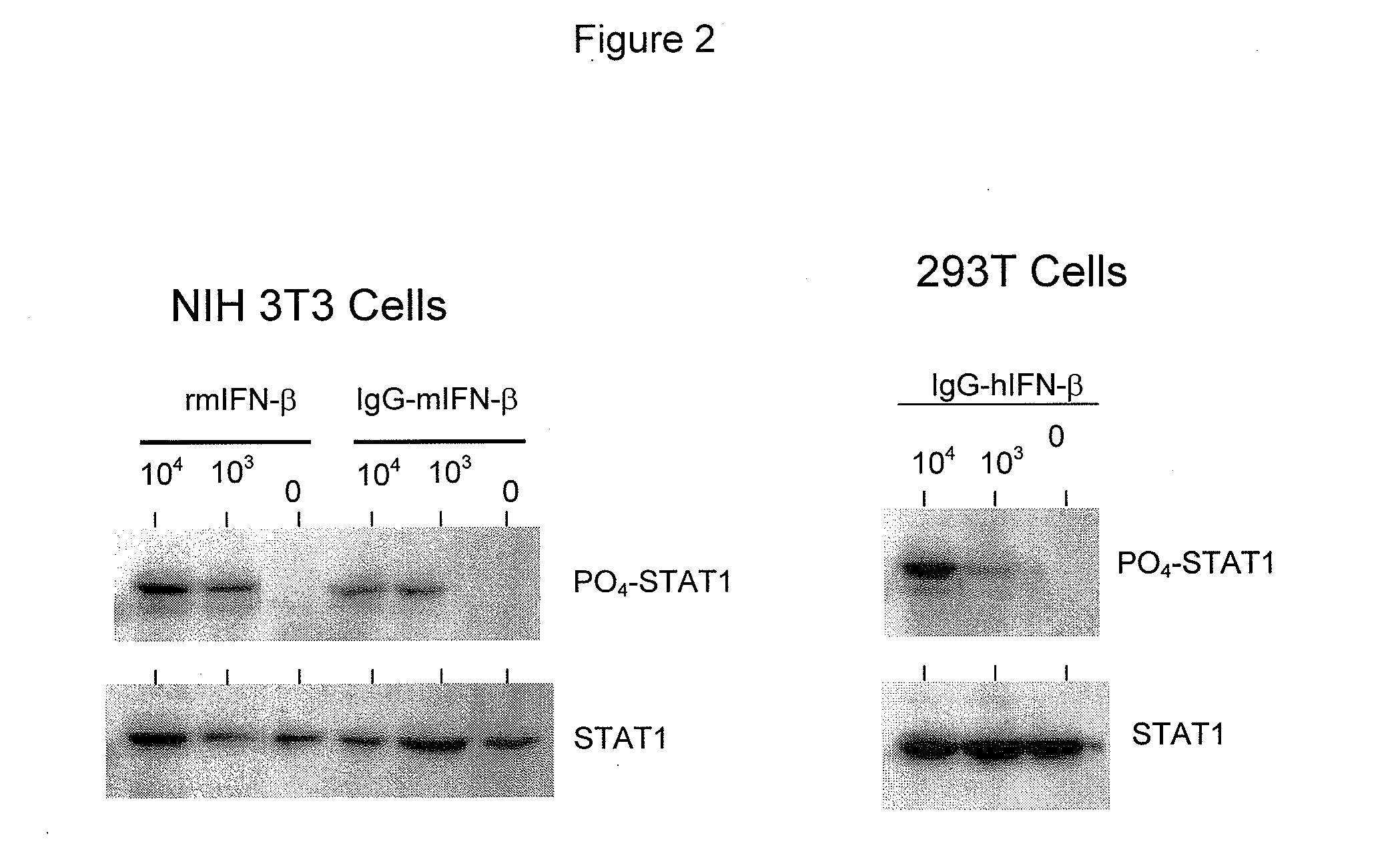 Method for targeted and sustained antiviral therapy