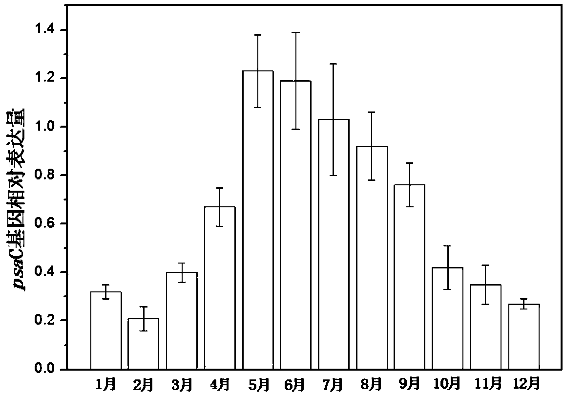 Method for controlling whole process of cyanobacterial bloom development in large shallow lake